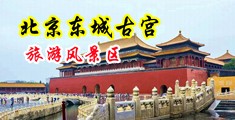 美女被操的喷水骚逼鸡巴抠逼网站中国北京-东城古宫旅游风景区